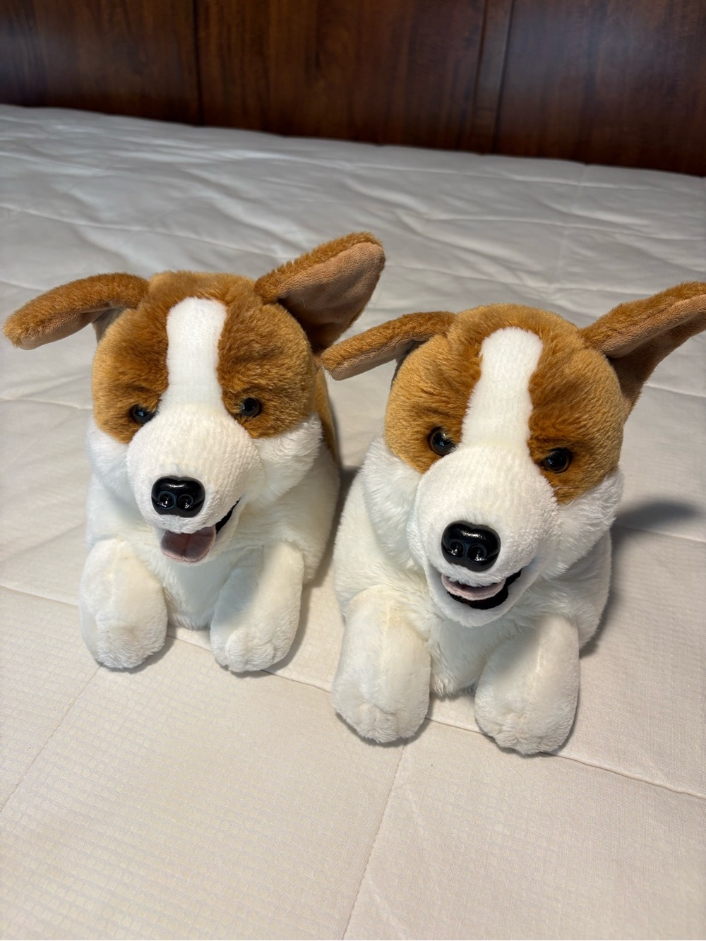 Cozy Corgi slippers